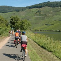 Fietspad aan de Mittelmosel